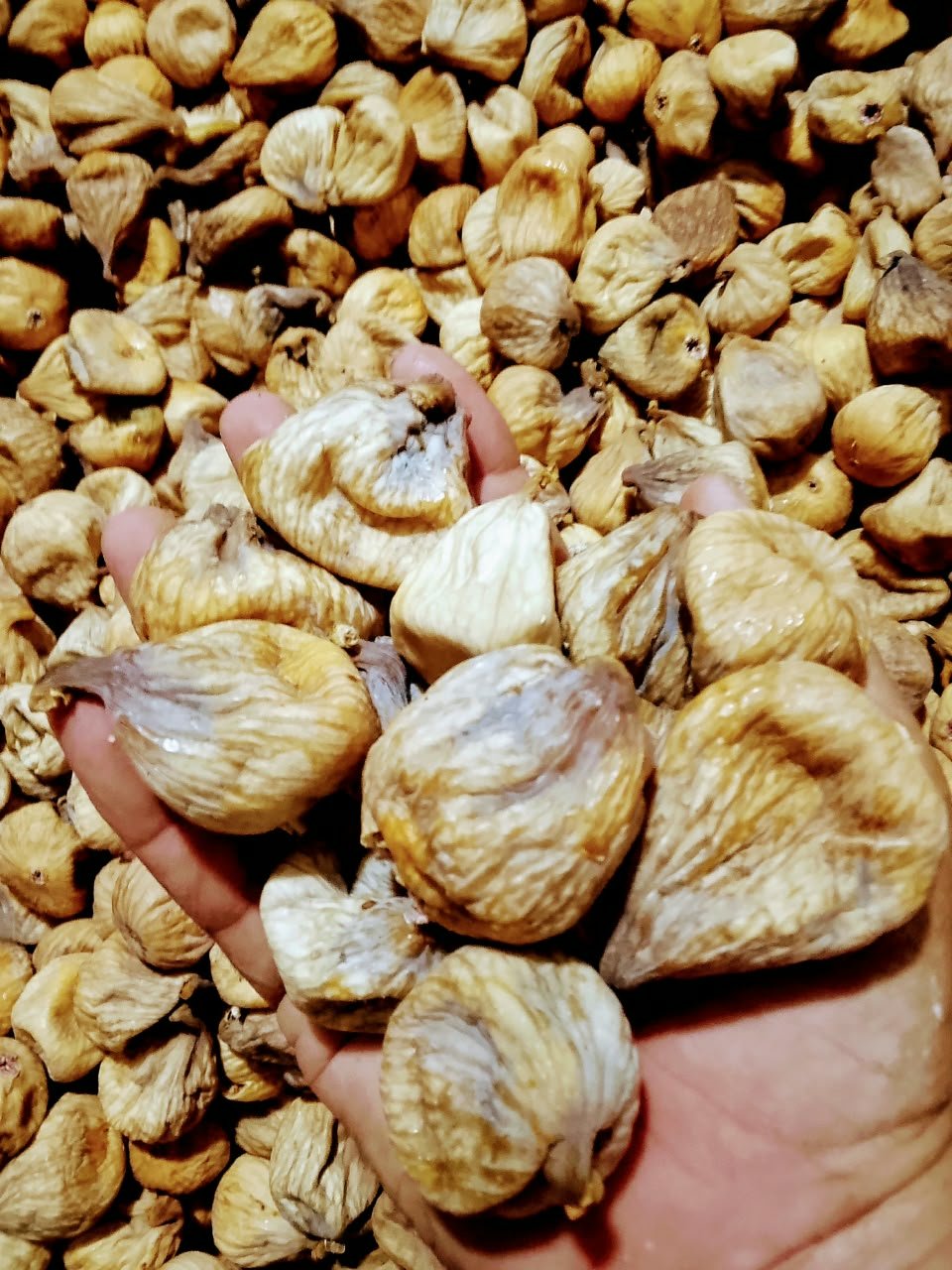 Figues sèches