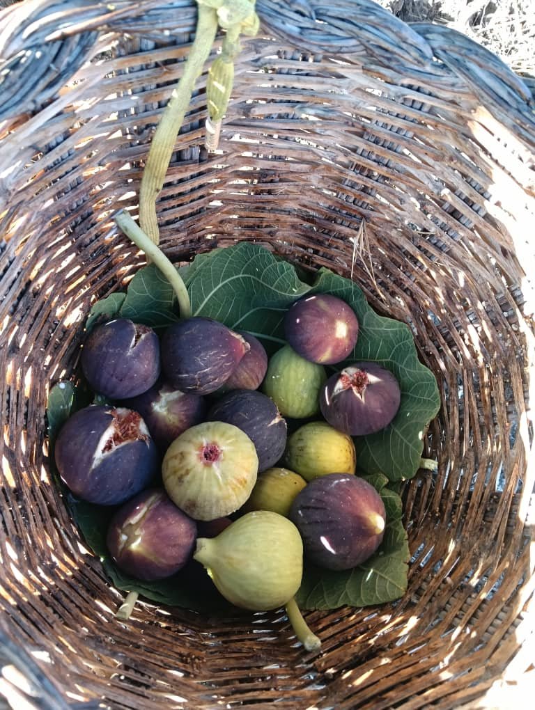 Panier de figues